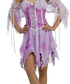Dotsy's Entertainment Co. Women's Costumes Rubies Costume Secret Wishes Sexy Butterfly Adult HAlloween Costume XSmall