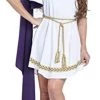 California Costumes Grecian Toga Dress - Size Adult XL
