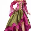Dotsy's Entertainment Co. RENAISSANCE Fairy NYMPH Adult Halloween COSTUME Size 12-14 Plus Size Halloween Costumes