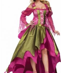 Dotsy's Entertainment Co. RENAISSANCE Fairy NYMPH Adult Halloween COSTUME Size 12-14 Plus Size Halloween Costumes
