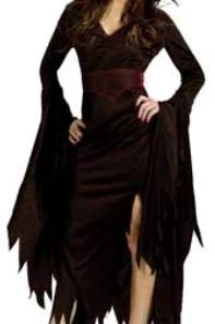 Dotsy's Entertainment Co. Classy Vampire Black Dress Plus Costume