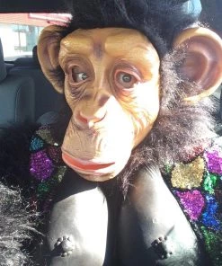 Dotsy's Entertainment Co Birthday Party And Celebration Services Singing Telegram