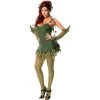Dotsy's Entertainment Co. Women's Costumes Poison Ivy Adult Halloween Costume Medium