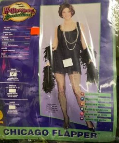 Dotsy's Entertainment Co. Flapper Girl Costume 1920's Adult Small